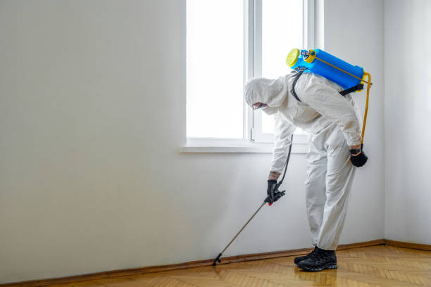 Pest Control for Hotels in High Point, NC